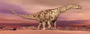 Huinculensis: Large Argentinosaurus dinosaur walking in the desert