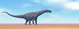 Loneliness: Large Argentinosaurus dinosaur walking in the desert