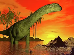 Palaeontology: Large Argentinosaurus dinosaur in water at sunset
