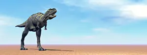 Furious: Large Aucasaurus dinosaur standing in the desert