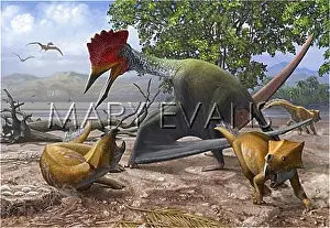 Stocktrek Images: A large Bakonydraco pterosaur attacking a nest of small ?