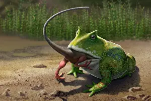 Toad: A large Beelzebufo frog eating a small Masiakasaurus