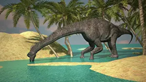 Riverbed: Large Brachiosaurus drinking water from a stream