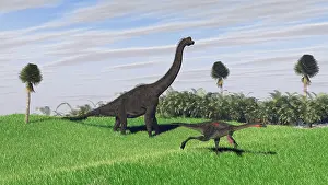 Brachiosaurus: Large Brachiosaurus and a Gigantoraptor in a grassy field