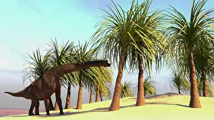 Brachiosaurid: Large Brachiosaurus grazing