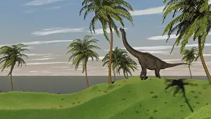 Brachiosaurus: Large Brachiosaurus grazing