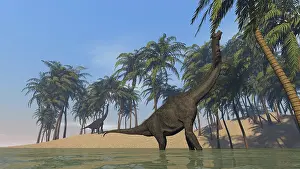 Brachiosaurus: Two large Brachiosaurus grazing along a bay