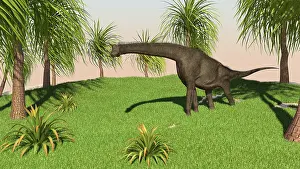 Brachiosaurid: Large Brachiosaurus grazing in a grassy field