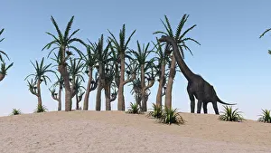Brachiosaurus: Large Brachiosaurus grazing on an island