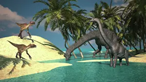 Riverbed: Two large Brachiosaurus grazing in shallow waters as two ?