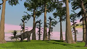 Brachiosaurid: Large Brachiosaurus grazing among trees