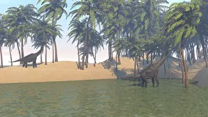 Brachiosaurus: Large Brachiosaurus grazing in a tropical climate