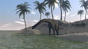 Brachiosaurid: Large Brachiosaurus grazing at the water's edge