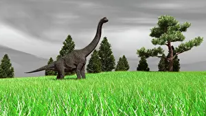Brachiosaurid: Large Brachiosaurus in an open field