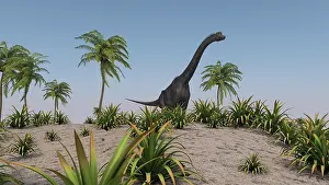 Brachiosaurus: Large Brachiosaurus roaming a prehistoric environment