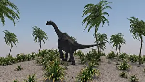 Brachiosaurus: Large Brachiosaurus roaming a prehistoric environment