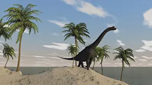 Brachiosaurus: Large Brachiosaurus roaming an tropical climate landscape