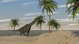 Brachiosaurus: Large Brachiosaurus roaming an tropical climate landscape
