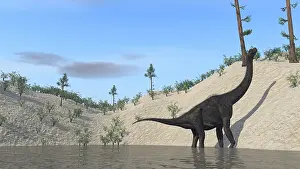 Brachiosaurus: Large Brachiosaurus standing in a lake