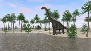Brachiosaurus: Large Brachiosaurus standing at the water's edge