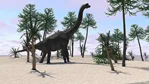 Brachiosaurid: Large Brachiosaurus in a tropical environment
