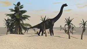 Tempskya: Large Brachiosaurus in a tropical environment