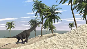 Brachiosaurid: Large Brachiosaurus in a tropical environment