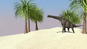 Brachiosaurus: Large Brachiosaurus in a tropical environment