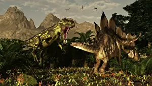 Defending: A large carnivorous Torvosaurus preying on a Stegosaurus