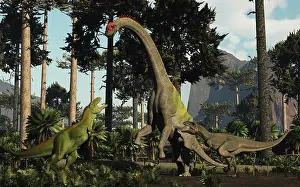 Rearing: A large Chubutisaurus is a attacked by a pair