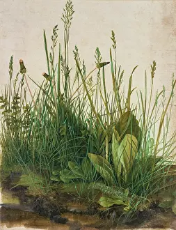 Clump: Large clump of turf