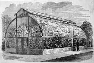 Conservatories: Large conservatory