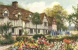 Supports: Large Cottage