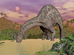 Dicraeosauridae: Large Dicraeosaurus dinosaur drinking water