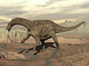 Rearing: Large Dicraeosaurus dinosaur walking on rocky terrain