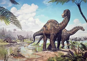 Alligator: Large Dicraeosaurus sauropods from the Late Cretaceous of ?