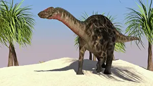 Dicraeosaurus: Large Dicraeosaurus in a tropical environment
