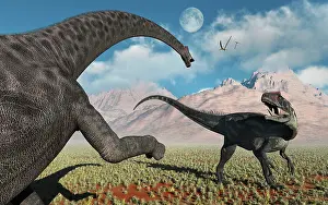 Threat: A large Diplodocus dinosaur confronting a, Allosaurus