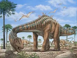 Acrylic: A large Diplodocus dinosaur grazing on ferns