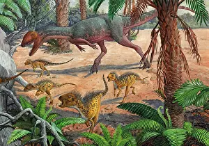 Dilophosaurid: A large Dracovenator chasing a group of Heterodontosaurus ?