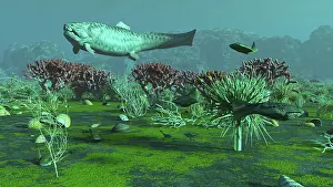 Placoderm: A large Dunkelosteus and other armored fish in