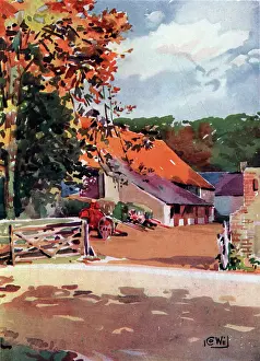 Cowie: Large Farm