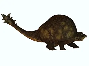 Glyptodont: A large glyptodont from the Pleistocene epoch