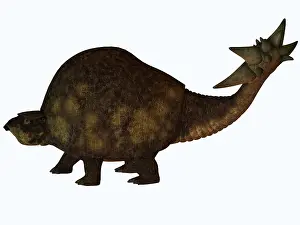 Glyptodont: A large glyptodont from the Pleistocene epoch