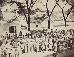 Osullivan: A large group of enslaved African Americans