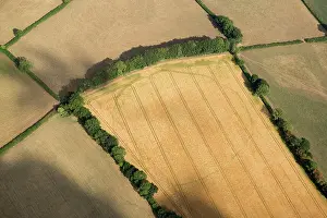 Cropmark: A large, likely prehistoric, enclosure crop mark