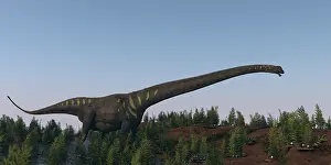 Riverbed: A large Mamenchisaurus walking along a dry riverbed