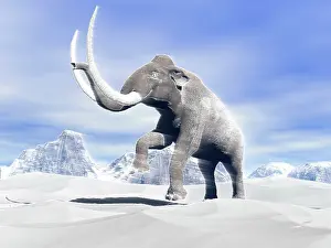 Blurred: Large mammoth walking slowly on the snowy mountain against ?