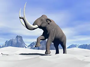 Goliath: Large mammoth walking slowly on the snowy mountain