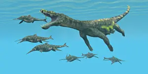 Ichthyosaur: A large Nothosaurus reptile preys on Shonisaurus ?